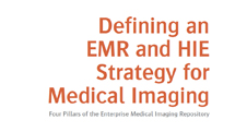 Meaningful Use EMR White Paper