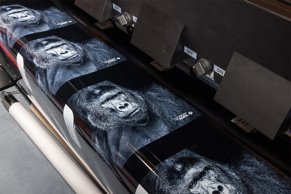 Printing white ink on the Oberon RTR3300 inkjet printer