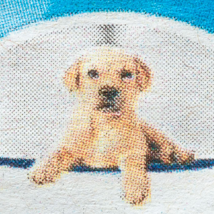 Spiral Screening Doggy 2