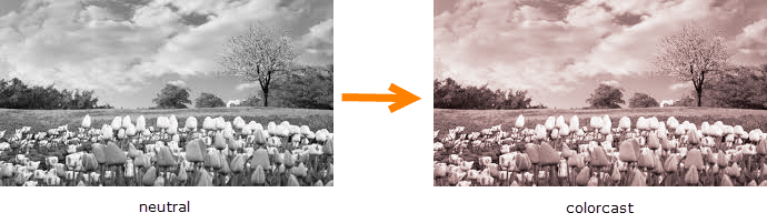 Neutral Colorcast Neutral versus colorcast
